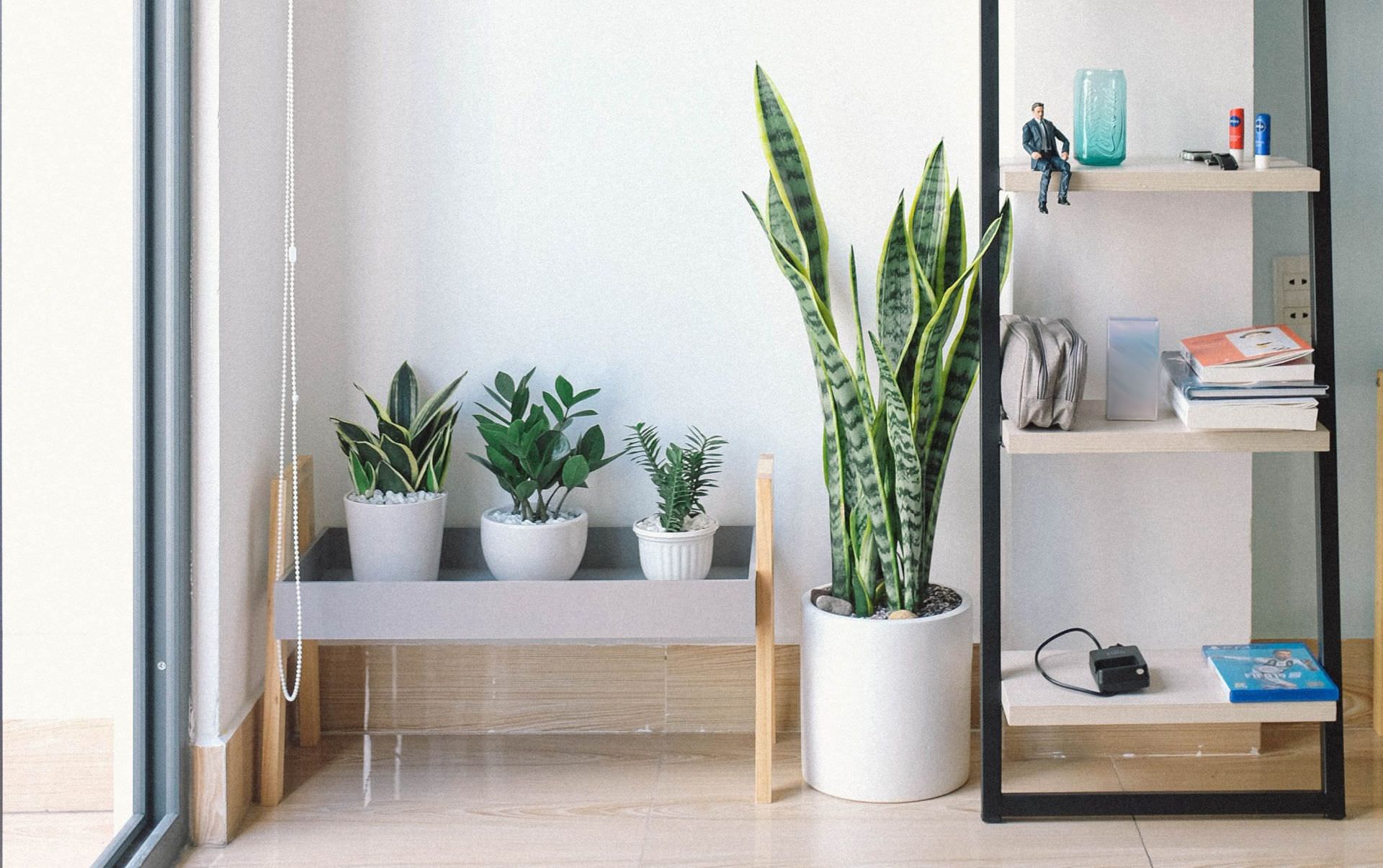 Décoration d'une pièce Décoration d'une pièce